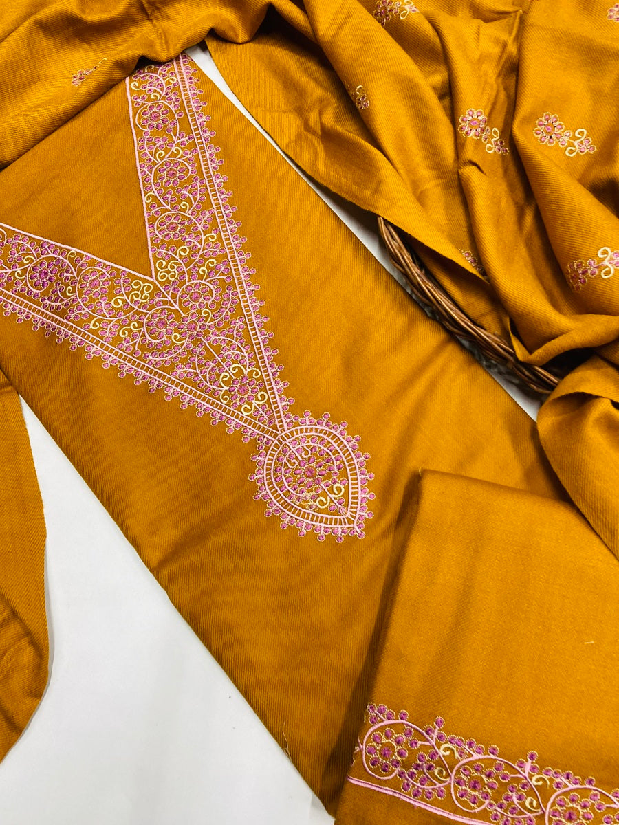 Pure winter 🥶 kinnauri suit