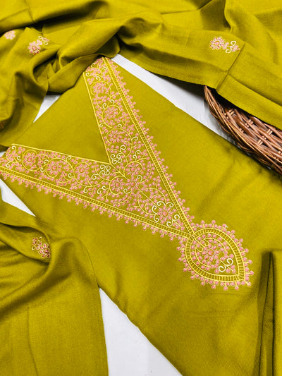 Pure winter 🥶 kinnauri suit