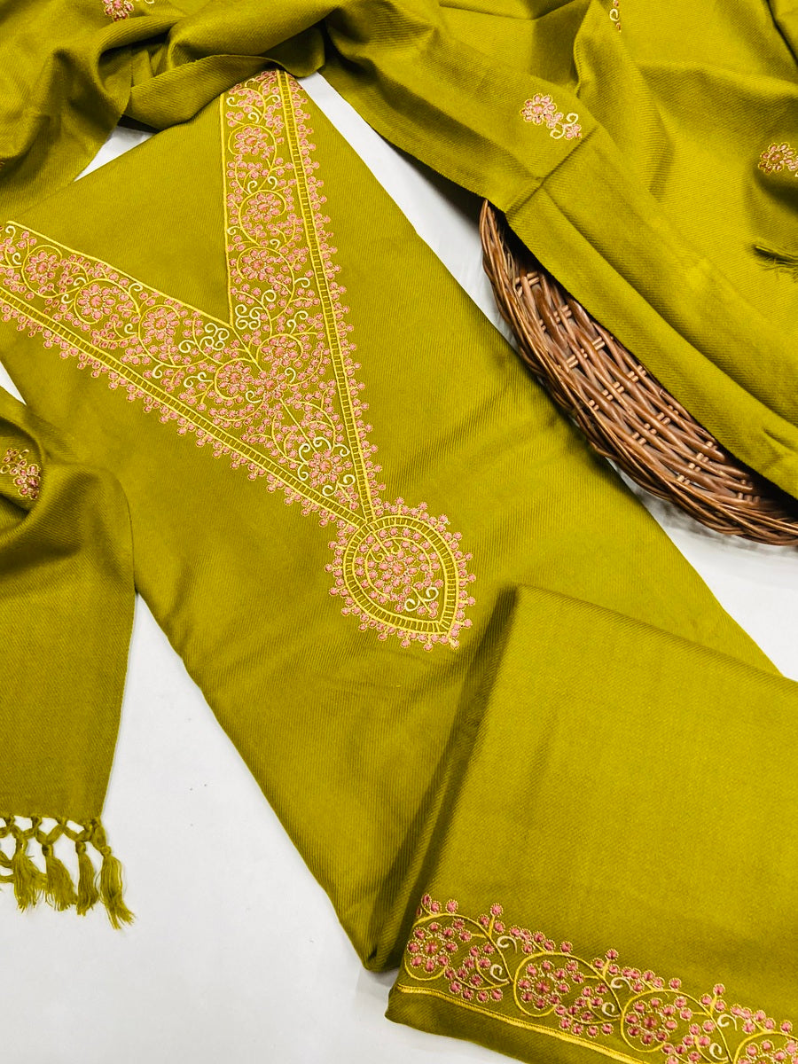 Pure winter 🥶 kinnauri suit