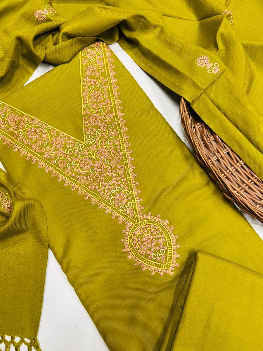 Pure winter 🥶 kinnauri suit