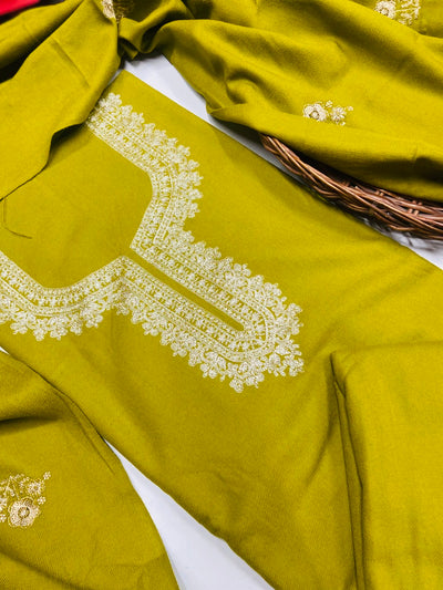 Pure winter 🥶 kinnauri suit