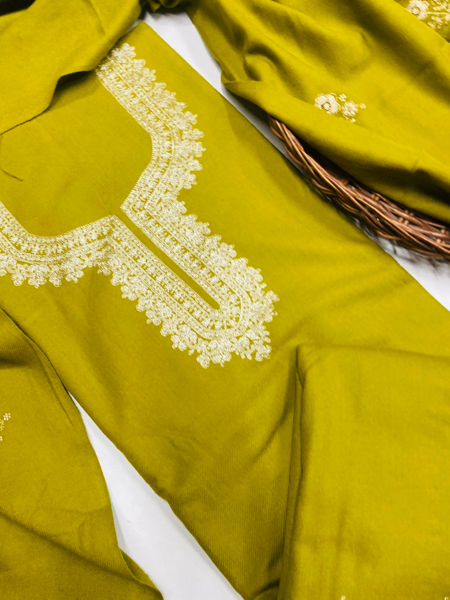 Pure winter 🥶 kinnauri suit