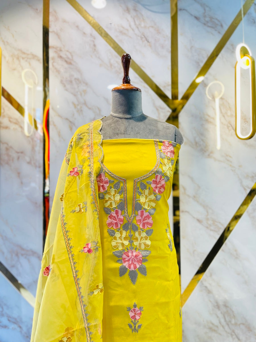 Kashmiri boutique style suit