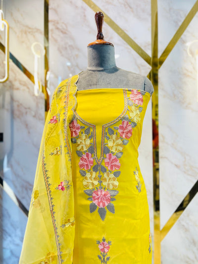 Kashmiri boutique style suit