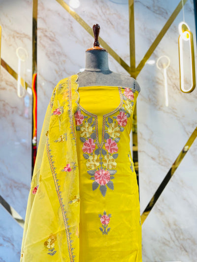 Kashmiri boutique style suit