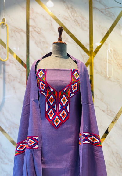 Pure winter 🥶 kinnauri (hand made ) suit( 2 side work )