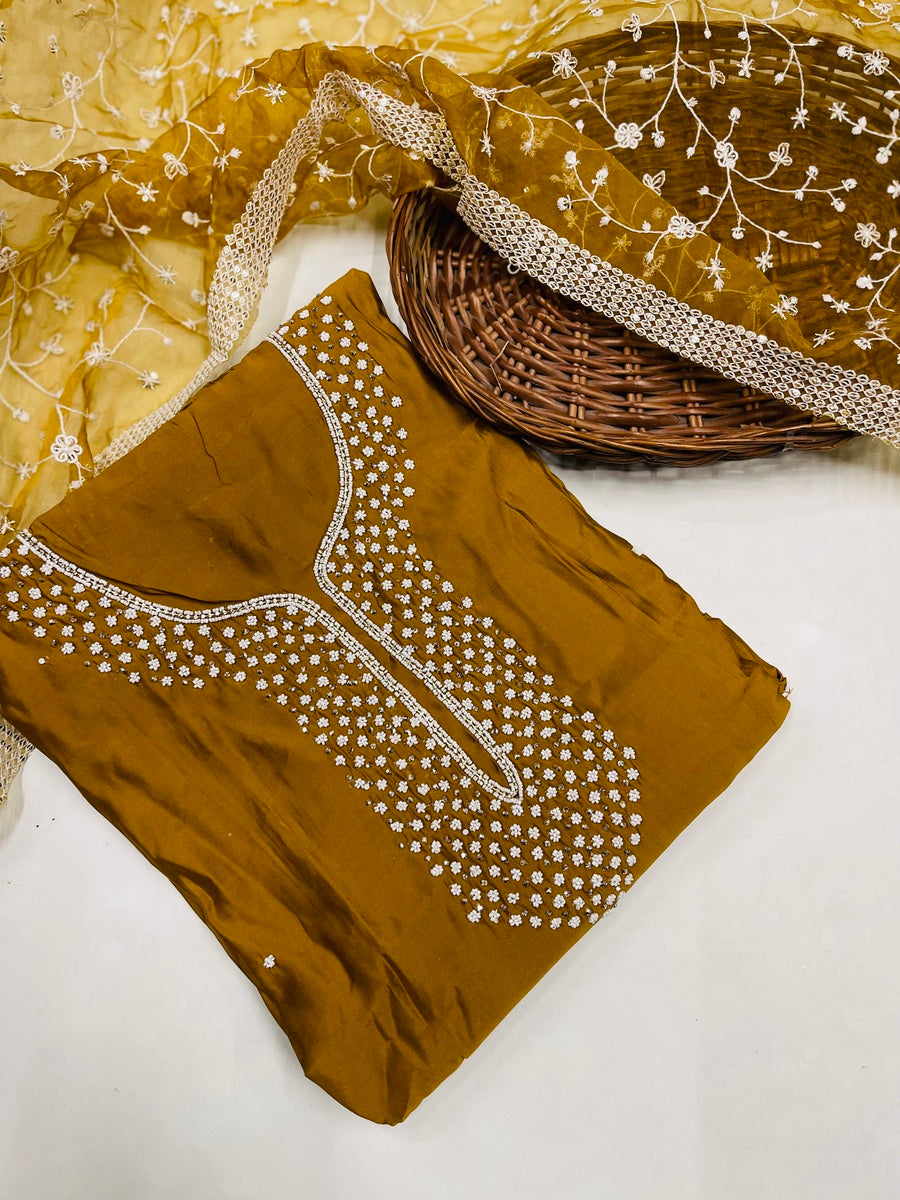 Kashmiri boutique style suit