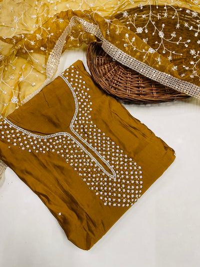 Kashmiri boutique style suit