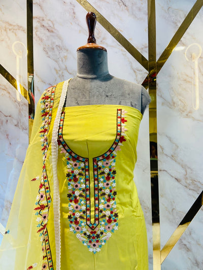 Kashmiri boutique style suit