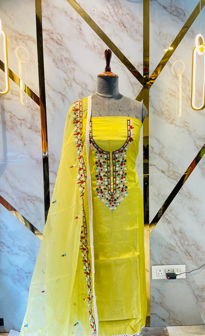 Kashmiri boutique style suit